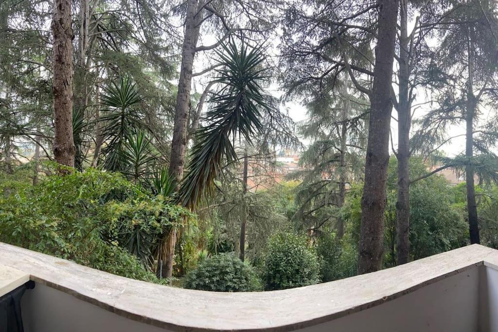 Apartment Eur Trepini Luxury Loft *